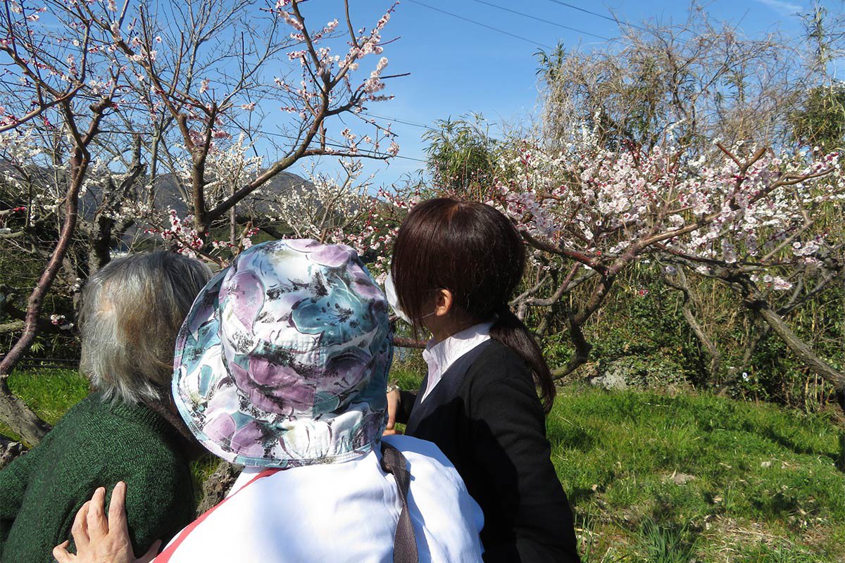 梅やコスモスの花や海などの自然豊かな地域です。