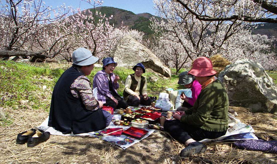 5月度 入選「あんずに集う」