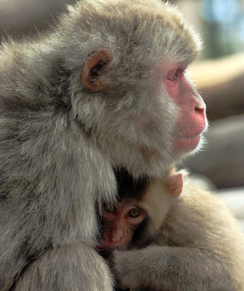 準グランプリ作品