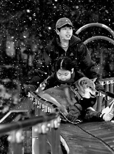 第5期 準グランプリ「小雪舞う日」