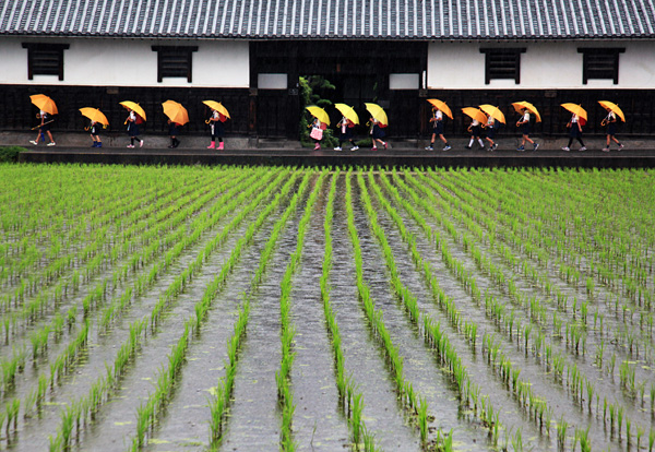 準グランプリ作品