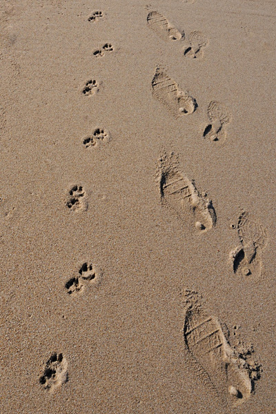 準グランプリ作品