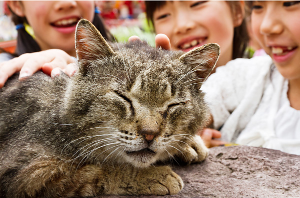 第4期 入選「かわいいね〜」