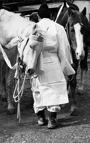 第5期 グランプリ「頬ずり」