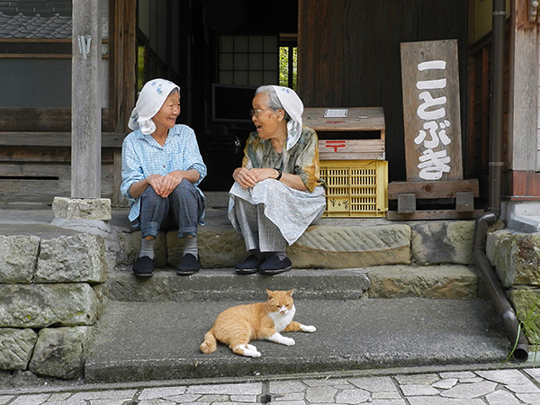 第6期 グランプリ「仲良し」大塚&nbsp;美代子&nbsp;様（静岡県静岡市）