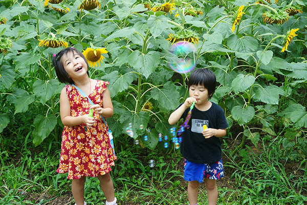 第1期 グランプリ 「シャボン玉遊び」白木&nbsp;勇治&nbsp;様（京都府福知山市）