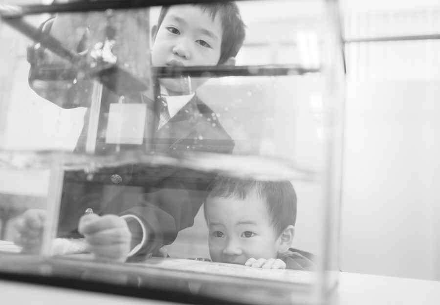 準グランプリ作品