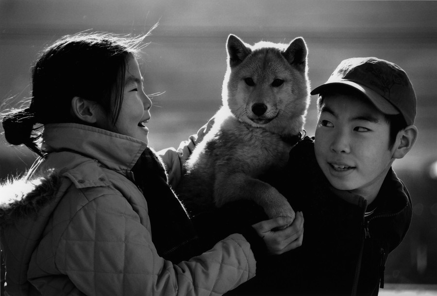 第3期 入選「兄妹弟」