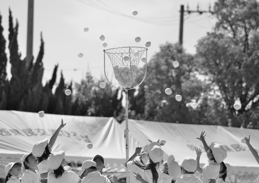 第2期 グランプリ「熱戦」ｎｙａｏｋｏ０２２２&nbsp;様（岡山県高梁市）