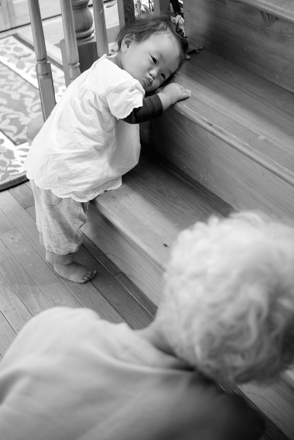 第5期 グランプリ「かわいい曾孫」akkoberry&nbsp;様（愛知県北名古屋市）