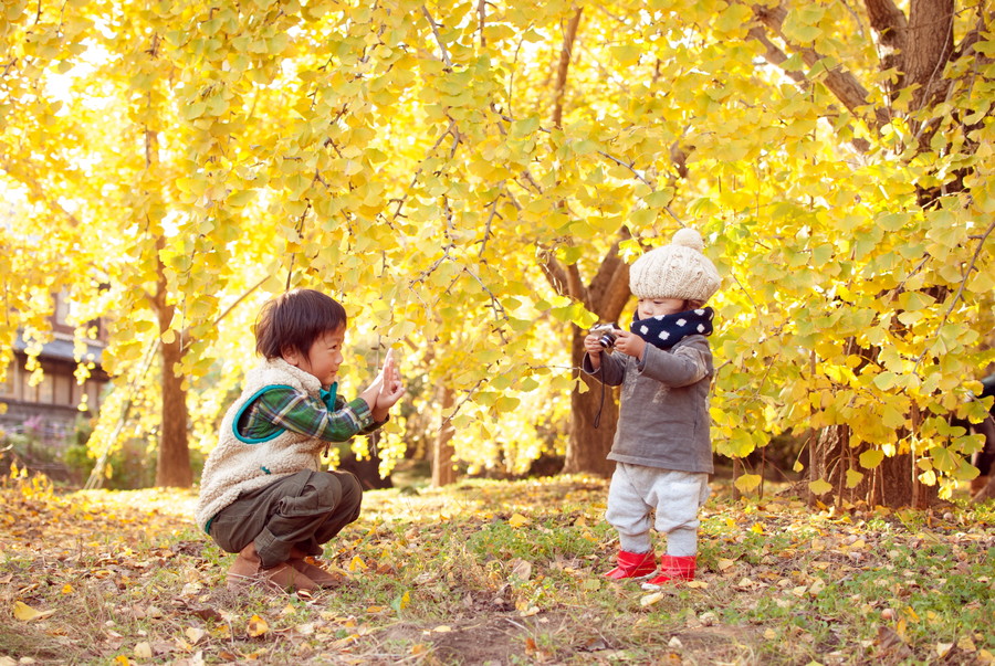 準グランプリ作品