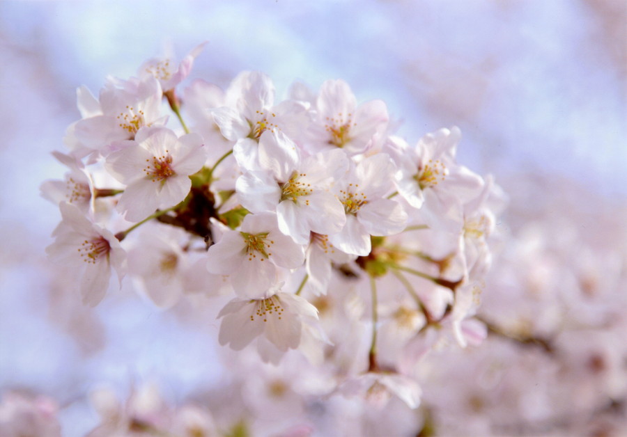 グランプリ作品