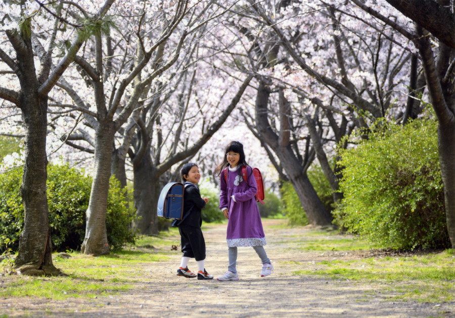 グランプリ作品