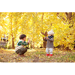 第3期 準グランプリ「小さなカメラマン」