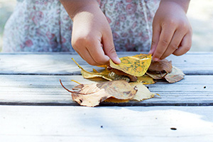 第2期 グランプリ「おいしくなーれ」