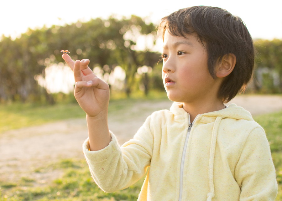 準グランプリ作品
