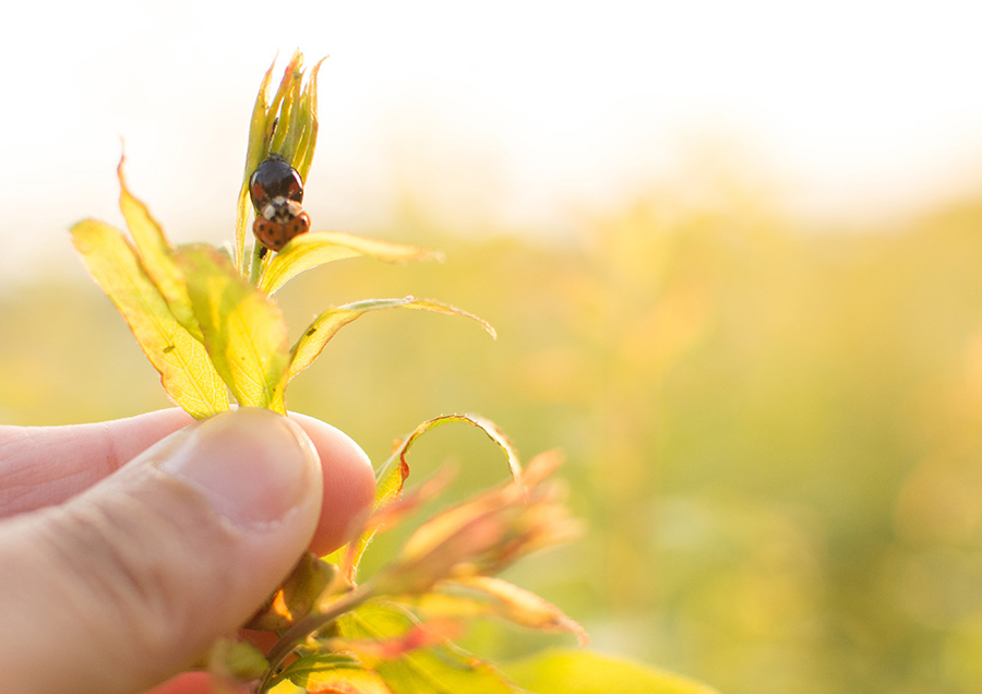 準グランプリ作品