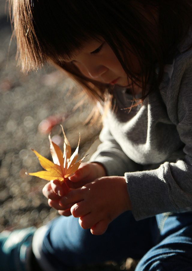 準グランプリ作品