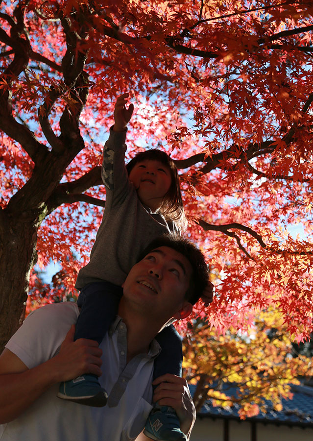 準グランプリ作品