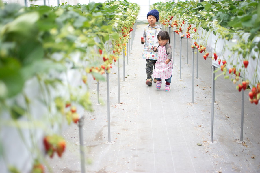 準グランプリ作品