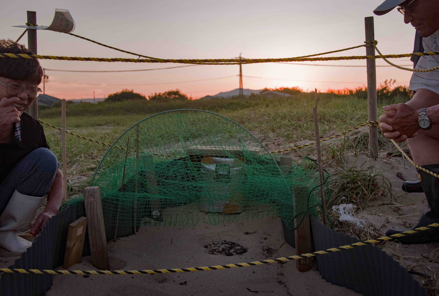 準グランプリ作品