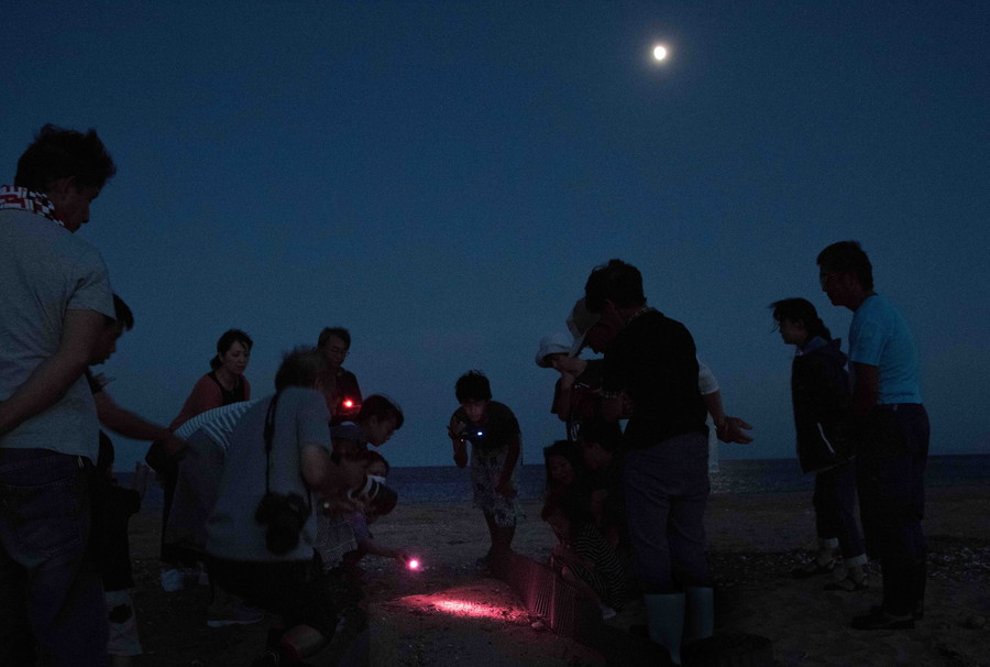 準グランプリ作品