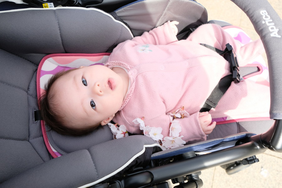 準グランプリ作品