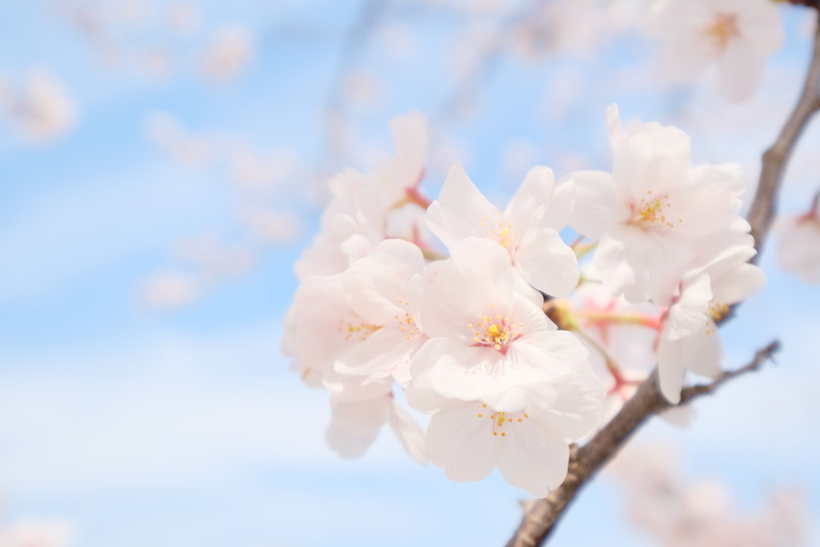 準グランプリ作品