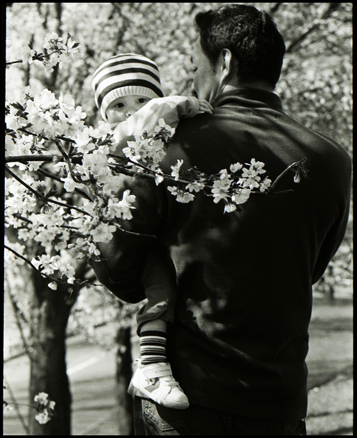 準グランプリ作品