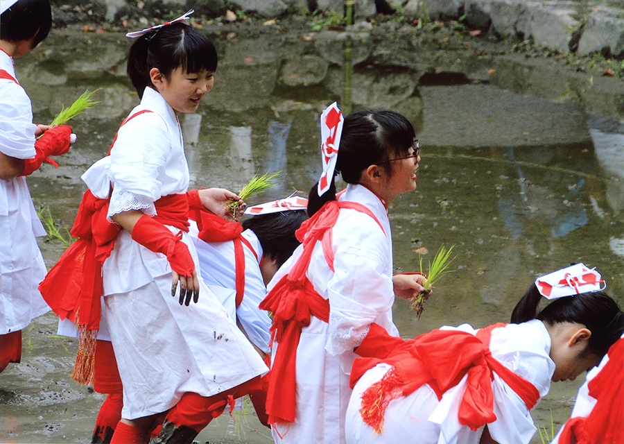 準グランプリ作品