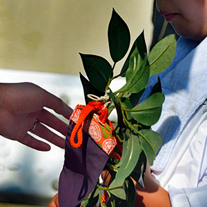 第1期 グランプリ「初めての…」