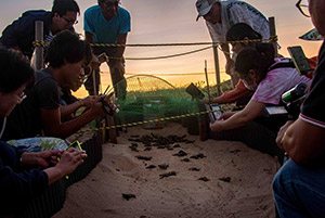 第5期 準グランプリ「誕生の時」