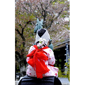 第5期 グランプリ「小五月祭り」ヨーちゃん 様（兵庫県たつの市）