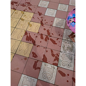 第6期 グランプリ「プール日和」ａｙｍ 様（埼玉県上尾市）