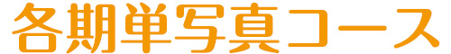 各期&nbsp;単写真コース