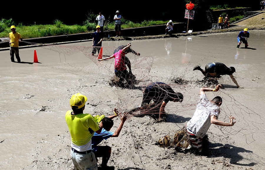 準グランプリ作品