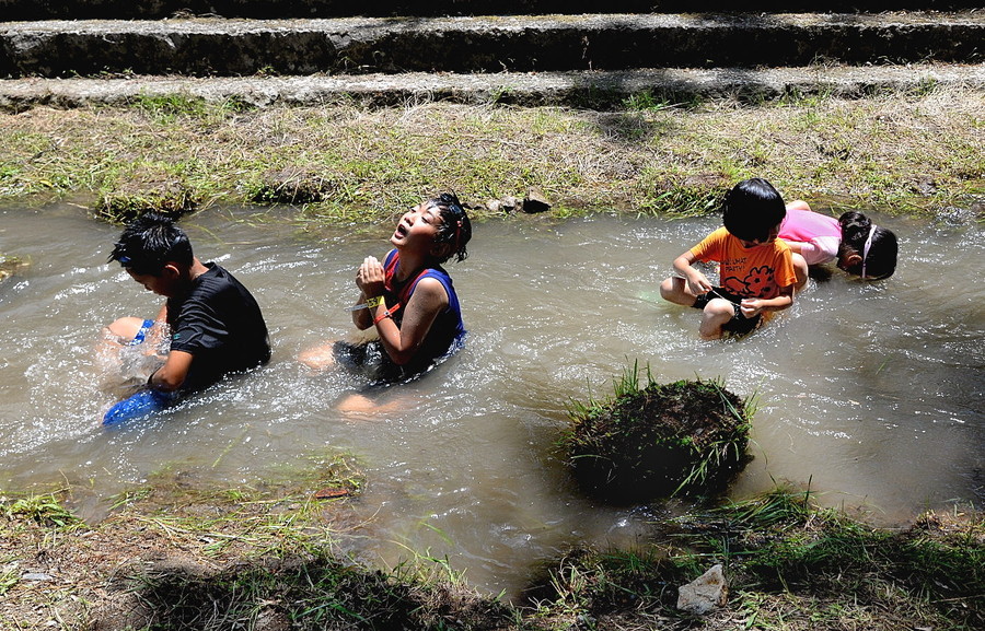 準グランプリ作品