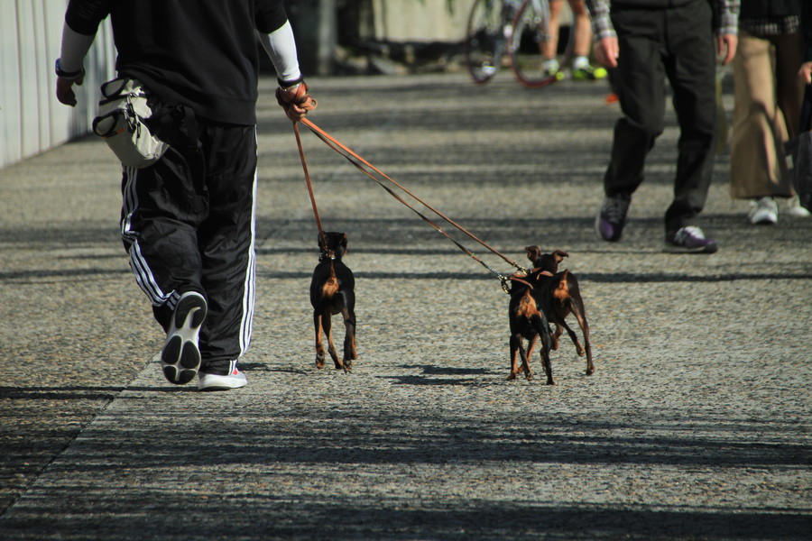 準グランプリ作品
