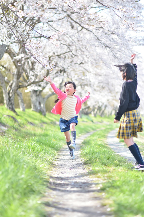 準グランプリ作品