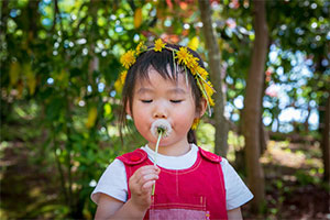 第2期 準グランプリ「春あそび」