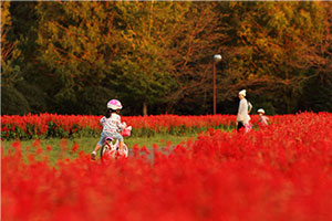 第5期 入選「花と家族と」