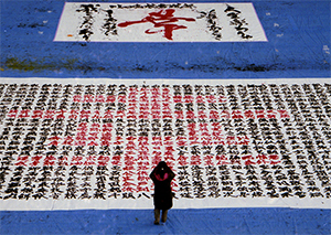 第3期 グランプリ「大作」吉野&nbsp;宏映&nbsp;様（埼玉県加須市）