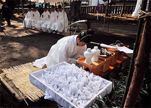 第4期 グランプリ「五人衆」タロー&nbsp;様（長野県千曲市）