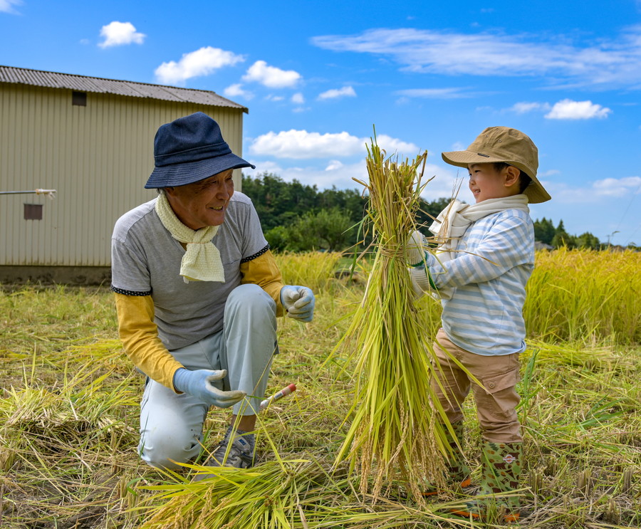 準グランプリ作品