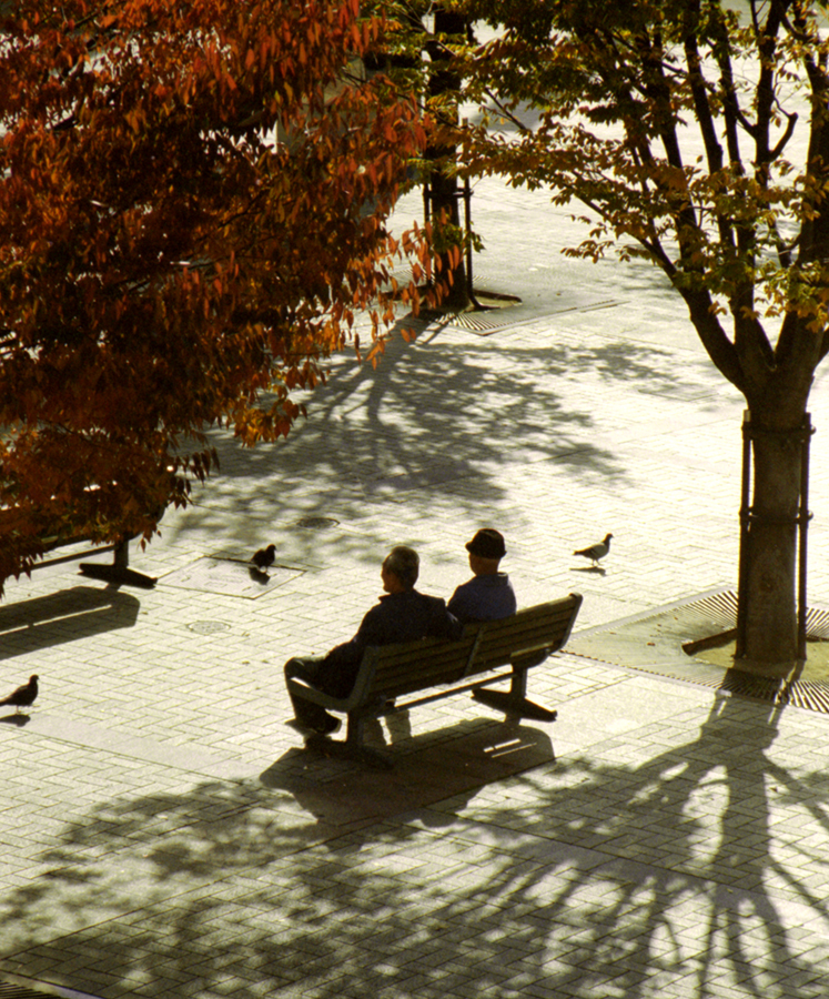 準グランプリ作品