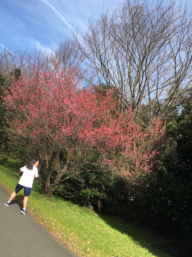 グランプリ作品