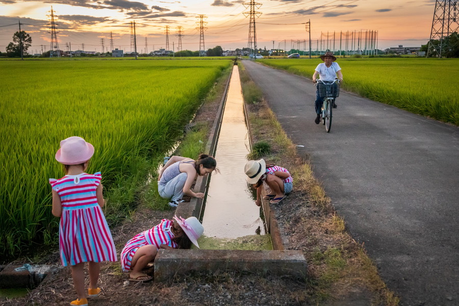 グランプリ作品