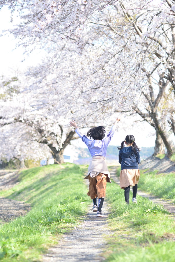 準グランプリ作品