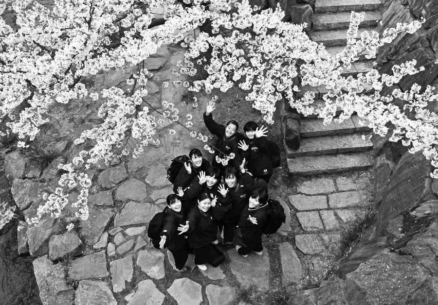 グランプリ作品