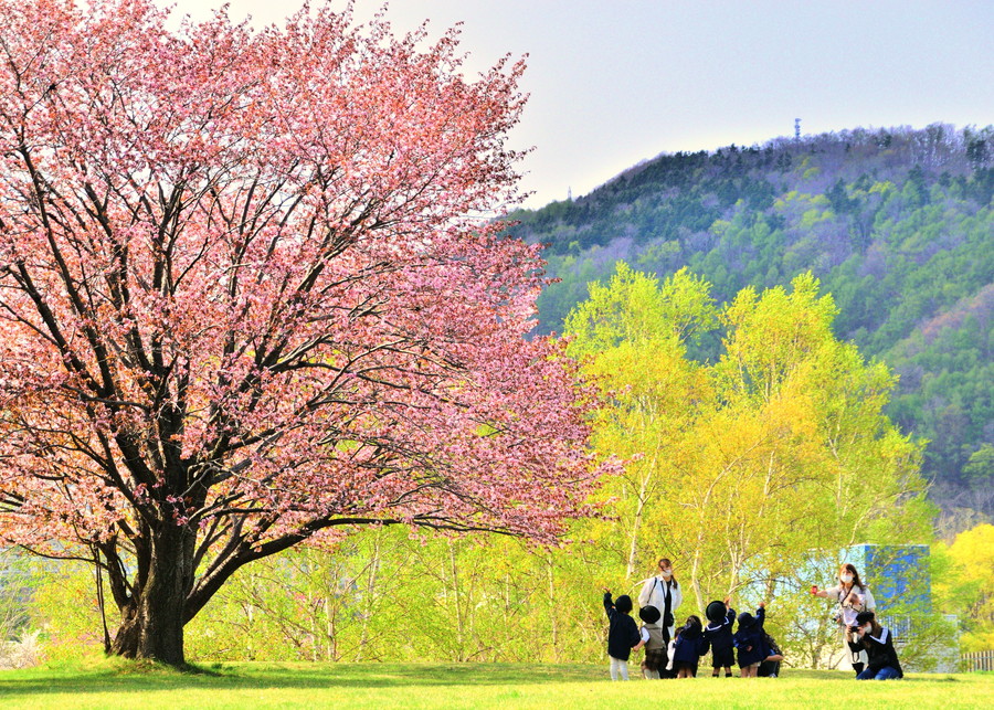 準グランプリ作品